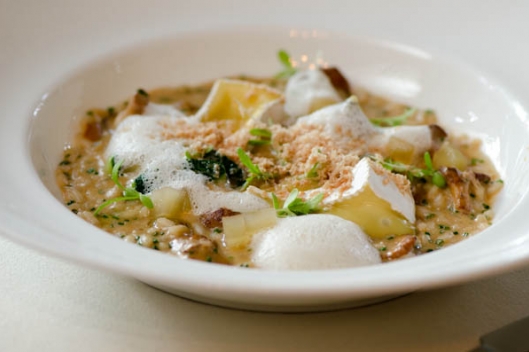 Chanterelle Risotto, Carolina Moon Cheese, Foie Gras, and Apple Espuma from Chef Colin Bedford of Fearrington House Chanterelle Risotto, Carolina Moon Cheese, Foie Gras, and Apple Espuma