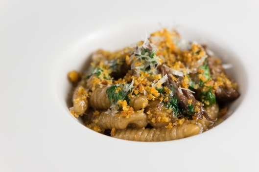 Gnocchetti, Wood Pigeon Ragù, Ubriacone Cheese, and Croutons