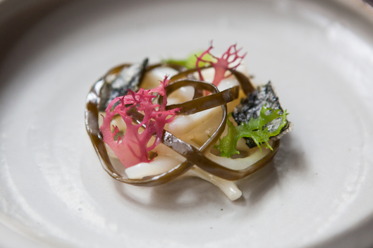 Bryce Shuman of Betony: Marinated Fluke, Squid, Cured Seaweed, Blackbeans and Pi