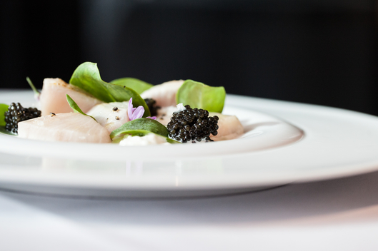 Alessandro Caporale of Casa Lever : Hamachi, Burrata, Oyster Leafs, and Petrossi