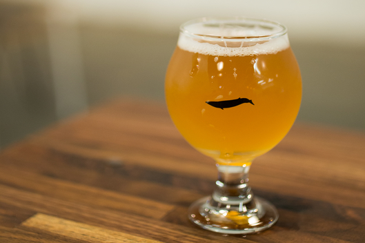 Basil Lee and Kevin Stafford of Finback Brewery: Double Sess(ion) Wit Beer