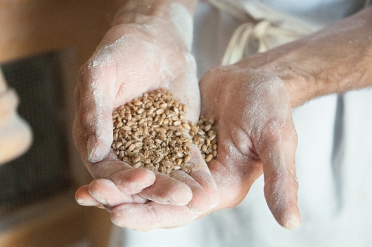 Evrim Dogu shares heritage grain varieties at Sub Rosa